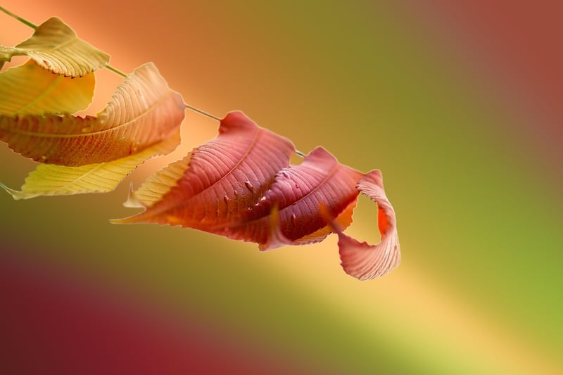 DIY Cleaning Products